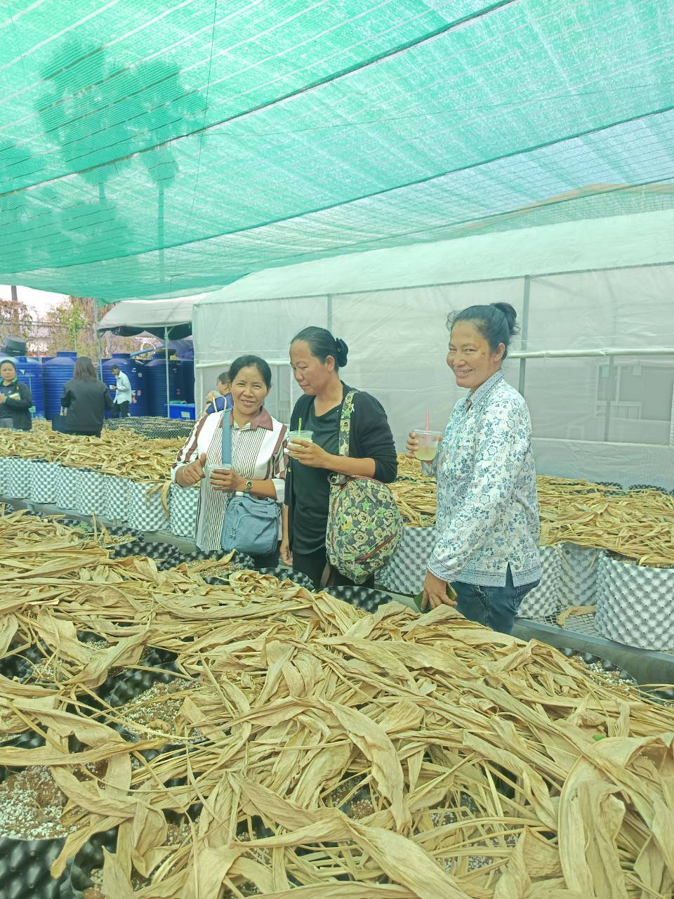 title - โครงการฝึกอบรมเชิงปฏิบัติการยกระดับการผลิตพืชสมุนไพรสู่เกษตรมูลค่าสูง